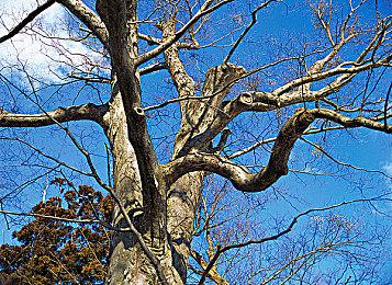 孤身入绝地 荡寇书传奇《平寇志》参加Steam游戏新品节