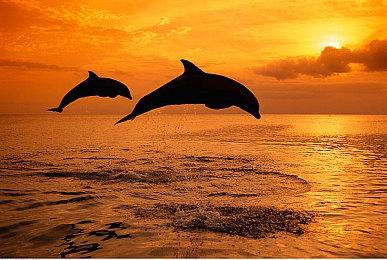 《漫威银河护卫队》最新中字剧情预告片